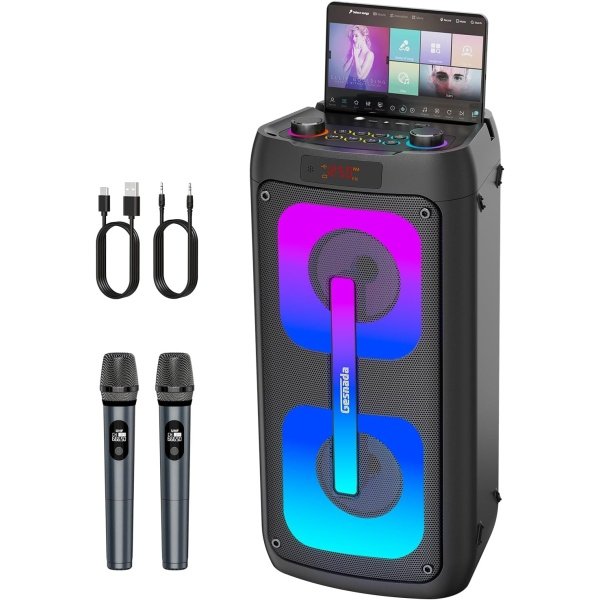 Karaoke Machine for Adults, Portable Bluetooth Speaker with 2 Wireless
