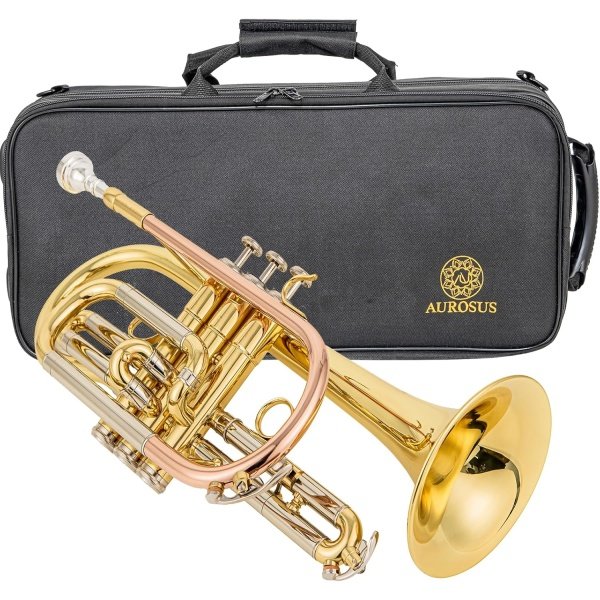 aurousus bb cornet acr 8330 for beginners intermediate players stainless steel